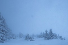 TEMPETE-DE-NEIGE
