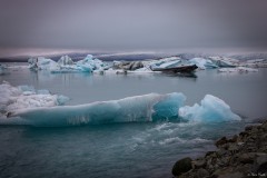 11082024-6I5A2965