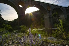 10062018Pont-de-Salettes-7