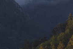11082018NetB-7