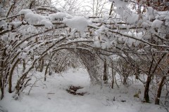 NEIGE27012018-14