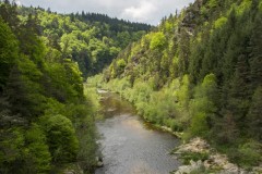 Pont-Salette-08052018-6