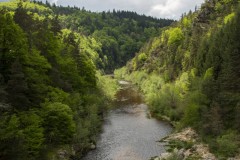 Pont-Salette-08052018-8