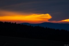 6W3A5312