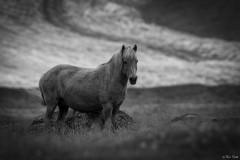 12082024-6W3A2709NetB