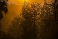 IMG_0667