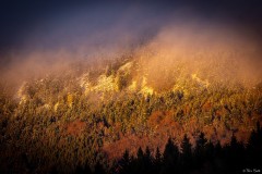 feu-sur-le-Testavoyre