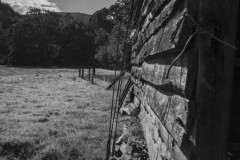 NetB-signe07092018-748A5546