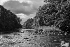 NetB-signe07092018-748A5565