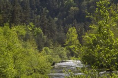 ARLEMPDES10052018Non-Signe-6