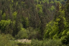 Pont-Salette-08052018-4